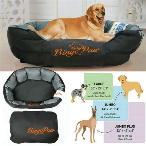 Xxl orthopedic dog - xl,